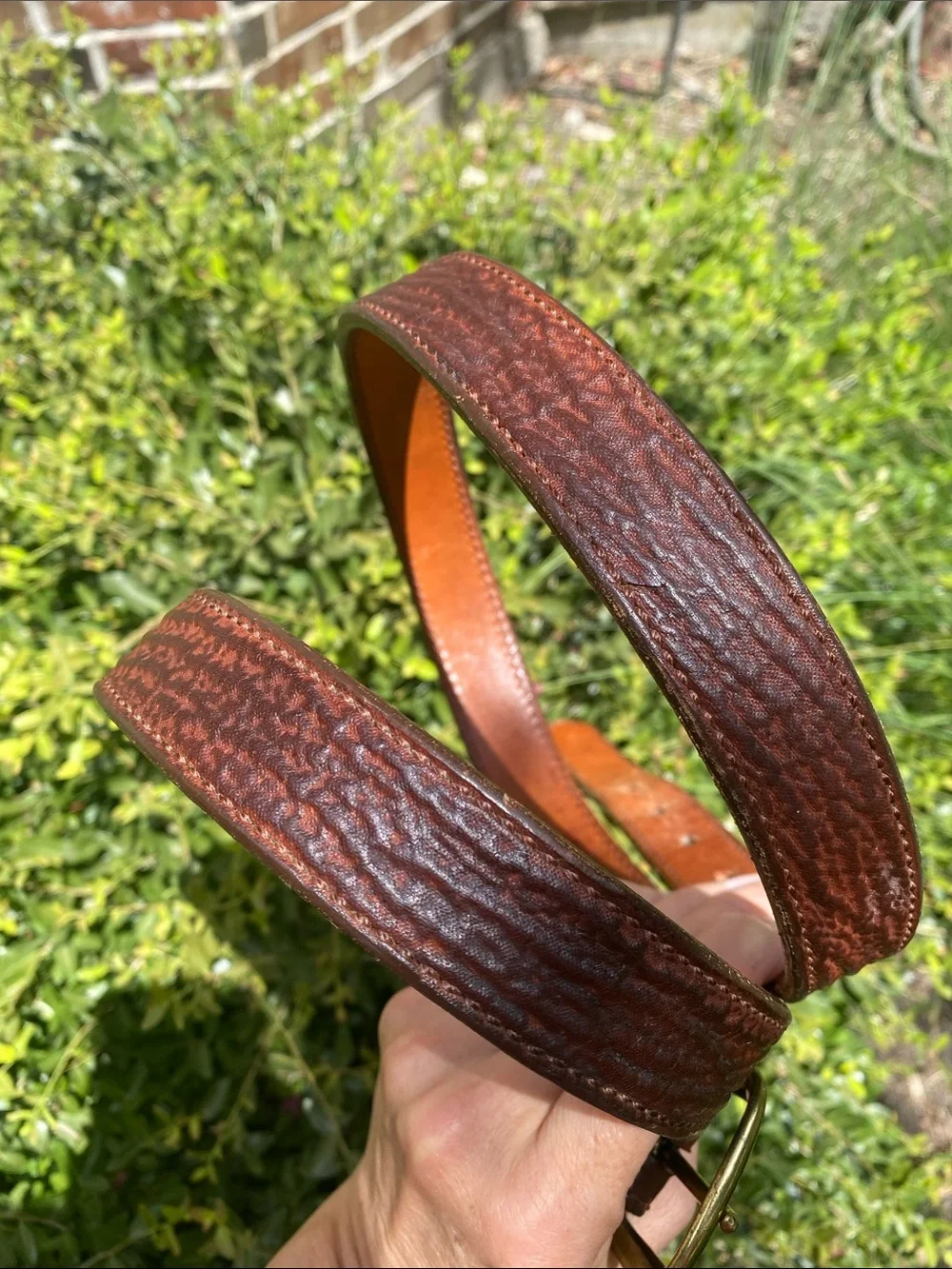 D M Builard Maker Shark Belt Size 42
